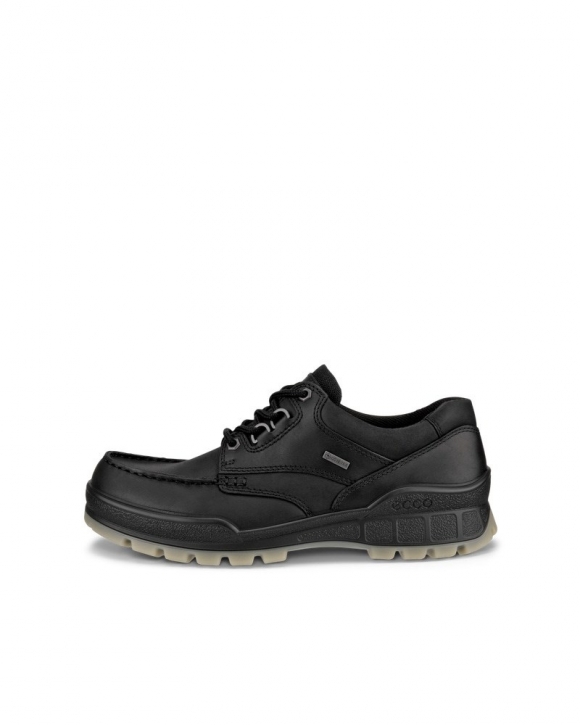 ECCO Track 25 Herren Gore-Tex Schuh aus Leder - Schwarz ECCO Track 25 Herren Gore-Tex Schuh aus Leder - Schwarz