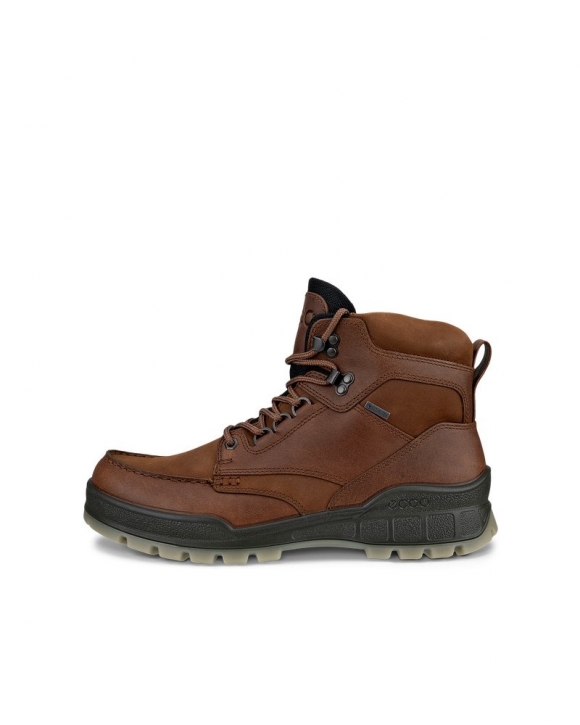 ECCO Track 25 Herren Wanderschuh aus Leder mit Gore-Tex - Braun