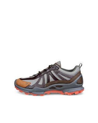 ECCO BIOM C-Trail Herren Outdoor-Schuhe aus Leder - Grau