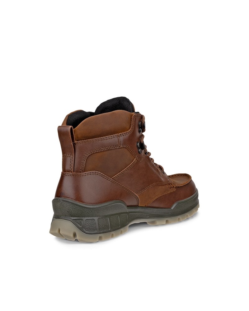 ECCO TRACK 25 Herren Wanderschuh aus Leder mit Gore-Tex - Braun