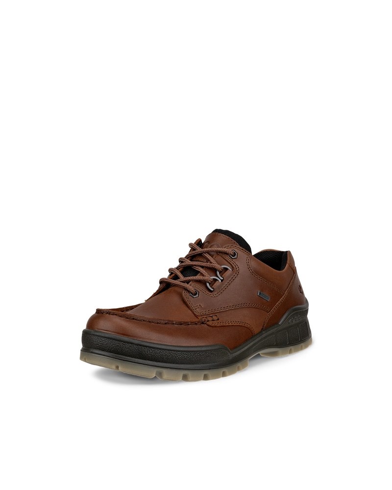 ECCO Track 25 Herren Outdoor-Schuhe aus Leder mit Gore-Tex - Braun