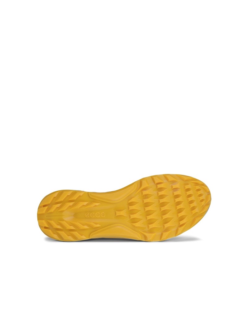 ECCO Golf BIOM C4 Herren Golfschuh aus Leder mit Gore-Tex - Grau