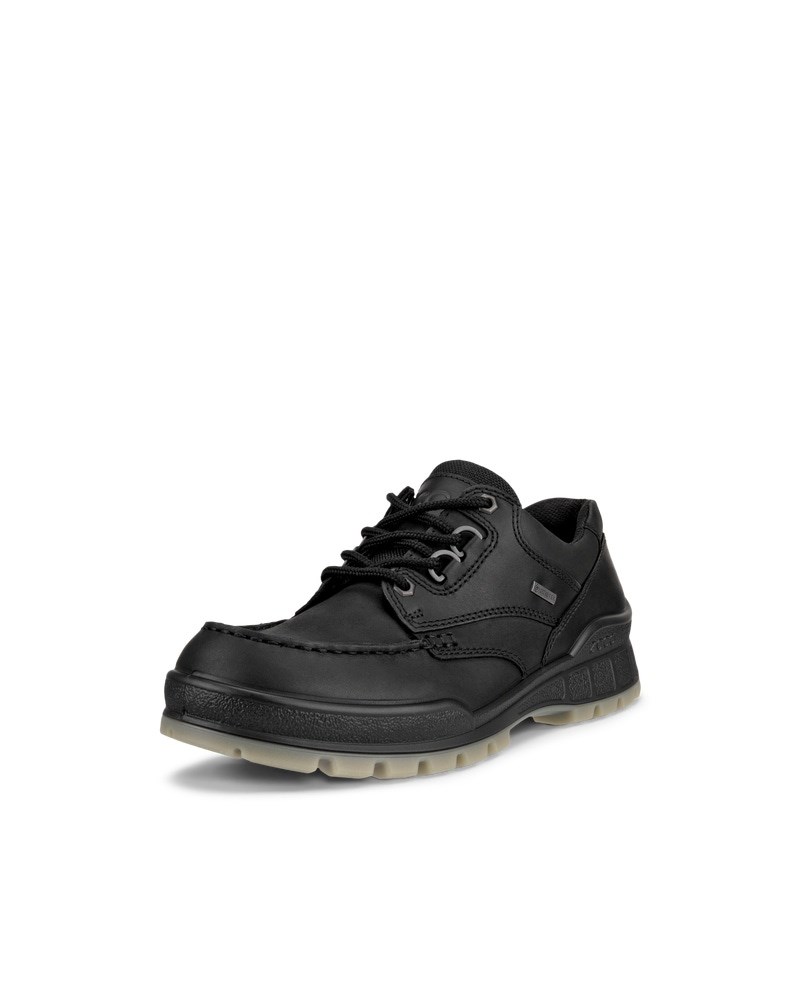 ECCO Track 25 Herren Gore-Tex Schuh aus Leder - Schwarz