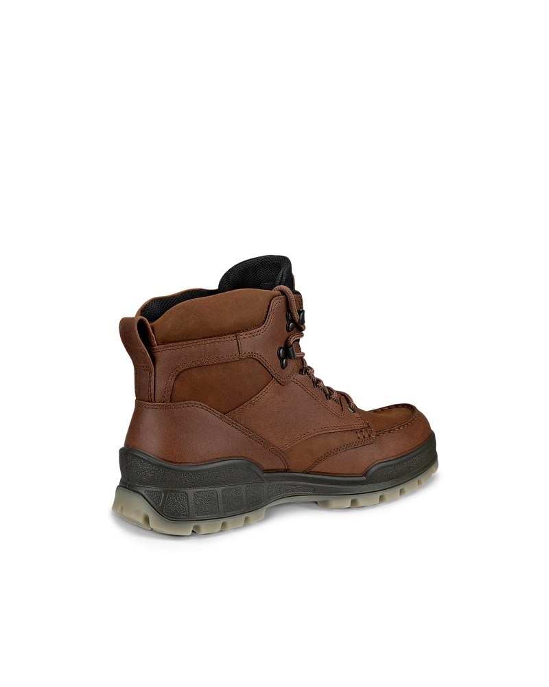 ECCO Track 25 Herren Wanderschuh aus Leder mit Gore-Tex - Braun