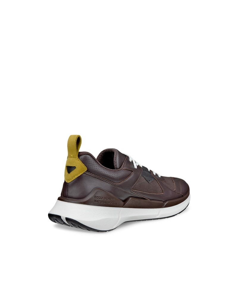 ECCO Biom 2.2 Herren Ledersneaker mit Gore-Tex - Braun