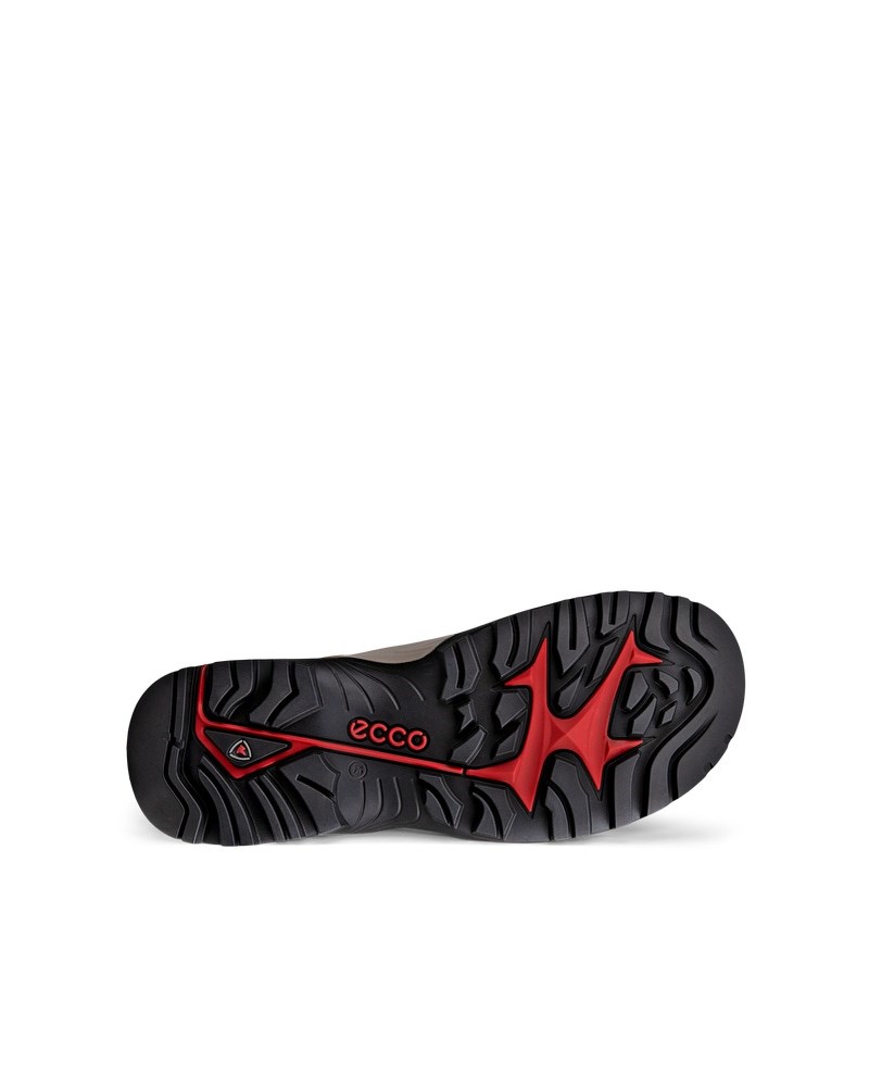 ECCO Offroad Herren Outdoor-Schuhe - Braun