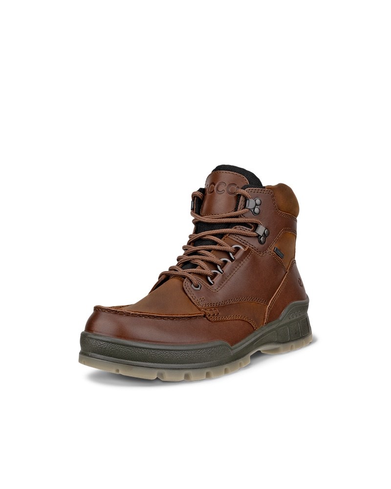 ECCO TRACK 25 Herren Wanderschuh aus Leder mit Gore-Tex - Braun