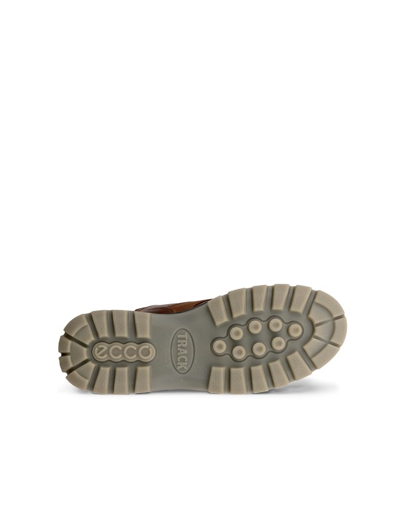 ECCO TRACK 25 Herren Wanderschuh aus Leder mit Gore-Tex - Braun