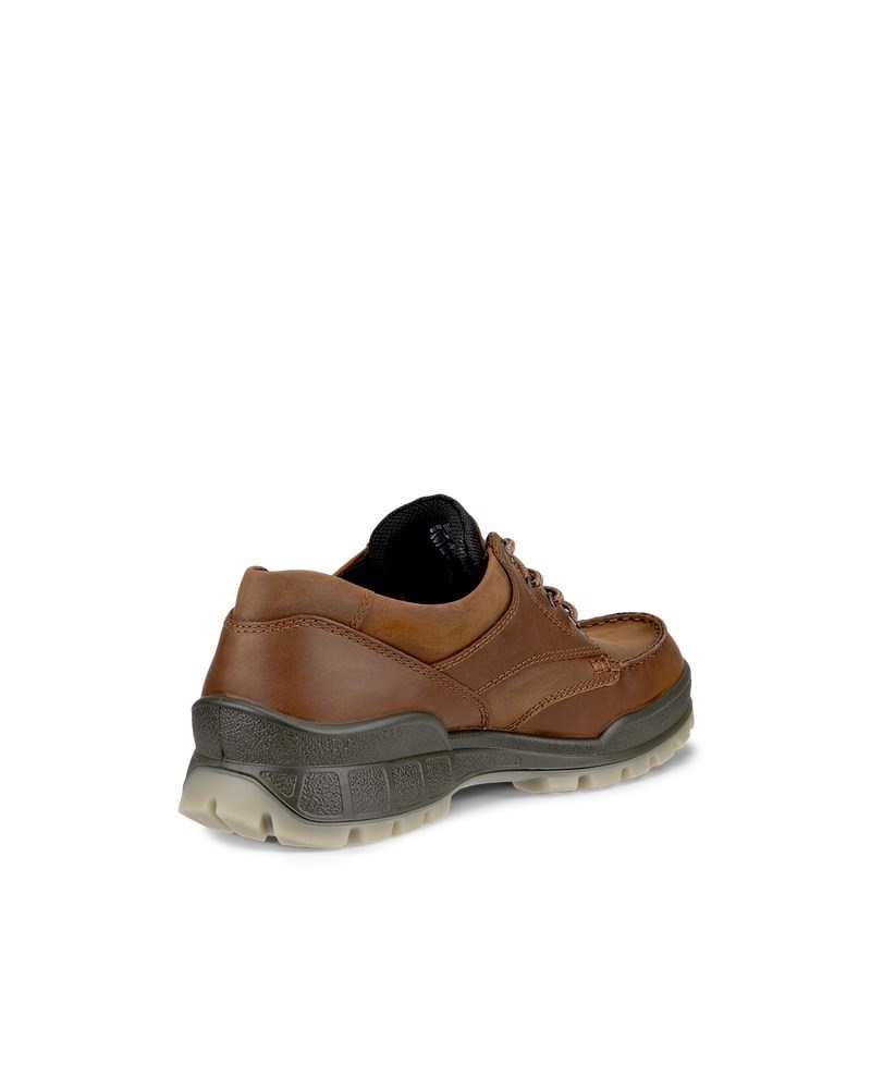 ECCO Track 25 Herren Gore-Tex Schuh aus Leder - Braun