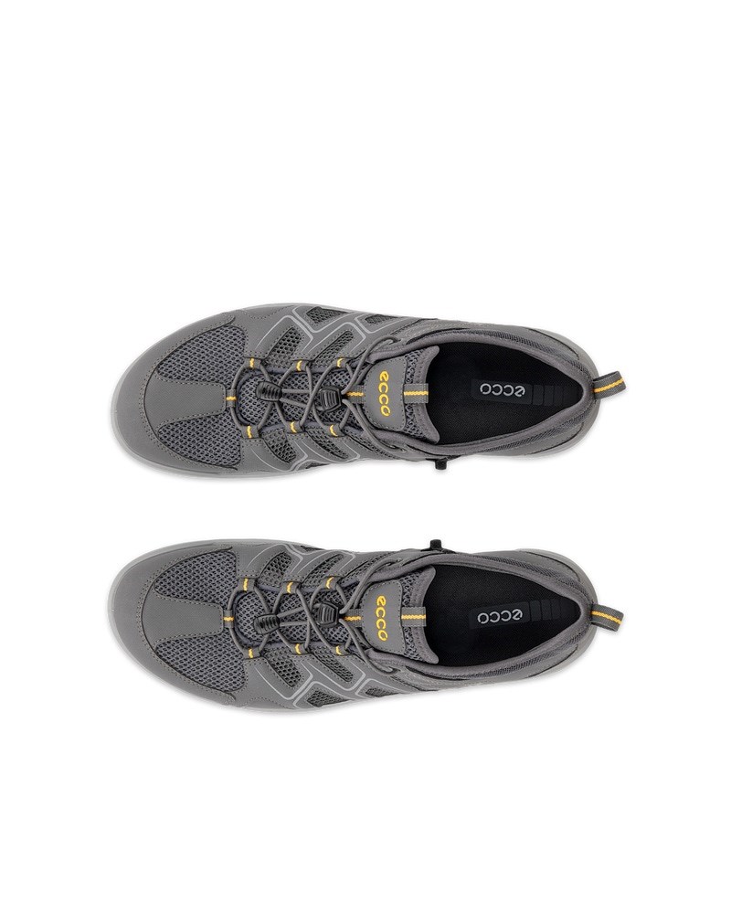 ECCO Terracruise LT Herren Outdoor-Schuh - Grau