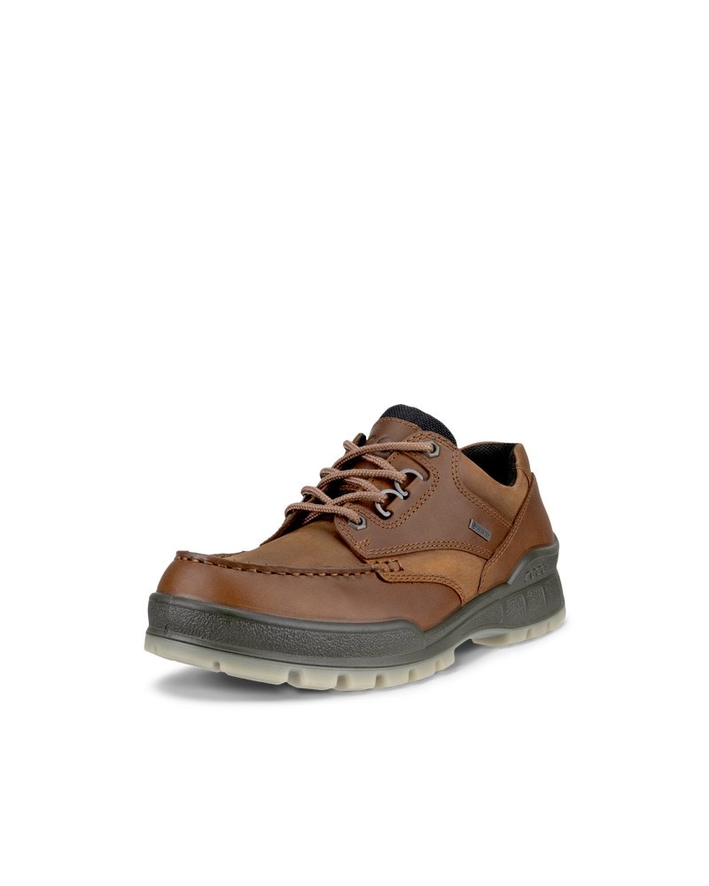 ECCO Track 25 Herren Gore-Tex Schuh aus Leder - Braun