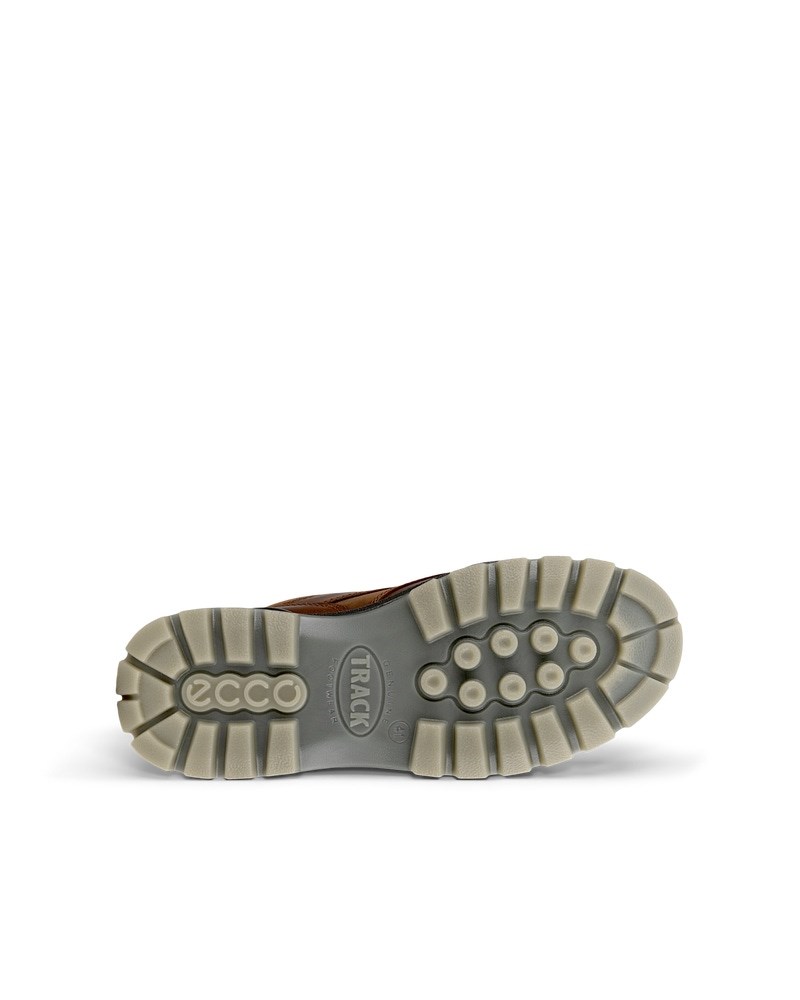 ECCO Track 25 Herren Gore-Tex Schuh aus Leder - Braun
