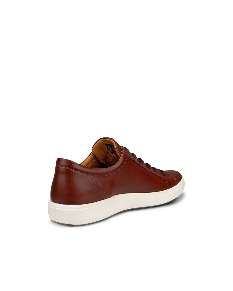 ECCO Soft 7 Herren Ledersneaker - Braun