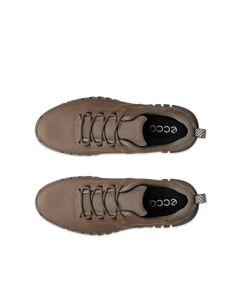 ECCO GRUUV Herren Sneaker aus Nubukleder mit Gore-Tex - Beige